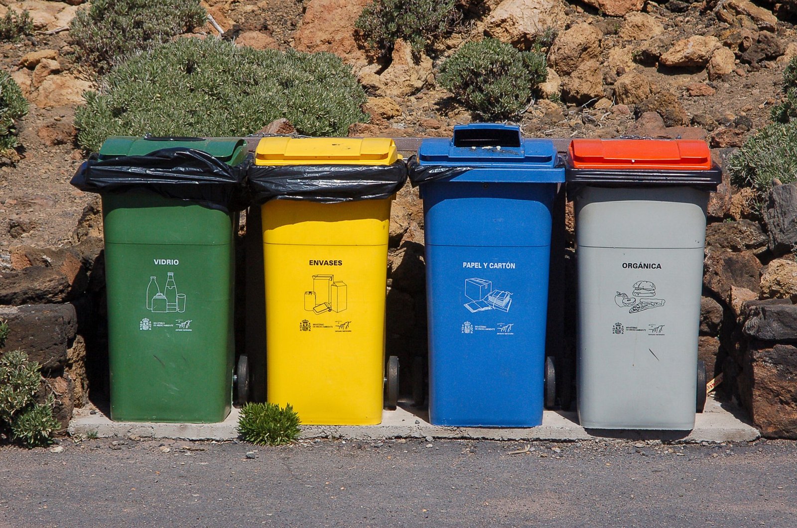 Multi-coloured labelled bins for sorting waste streams in Dubai waste collection