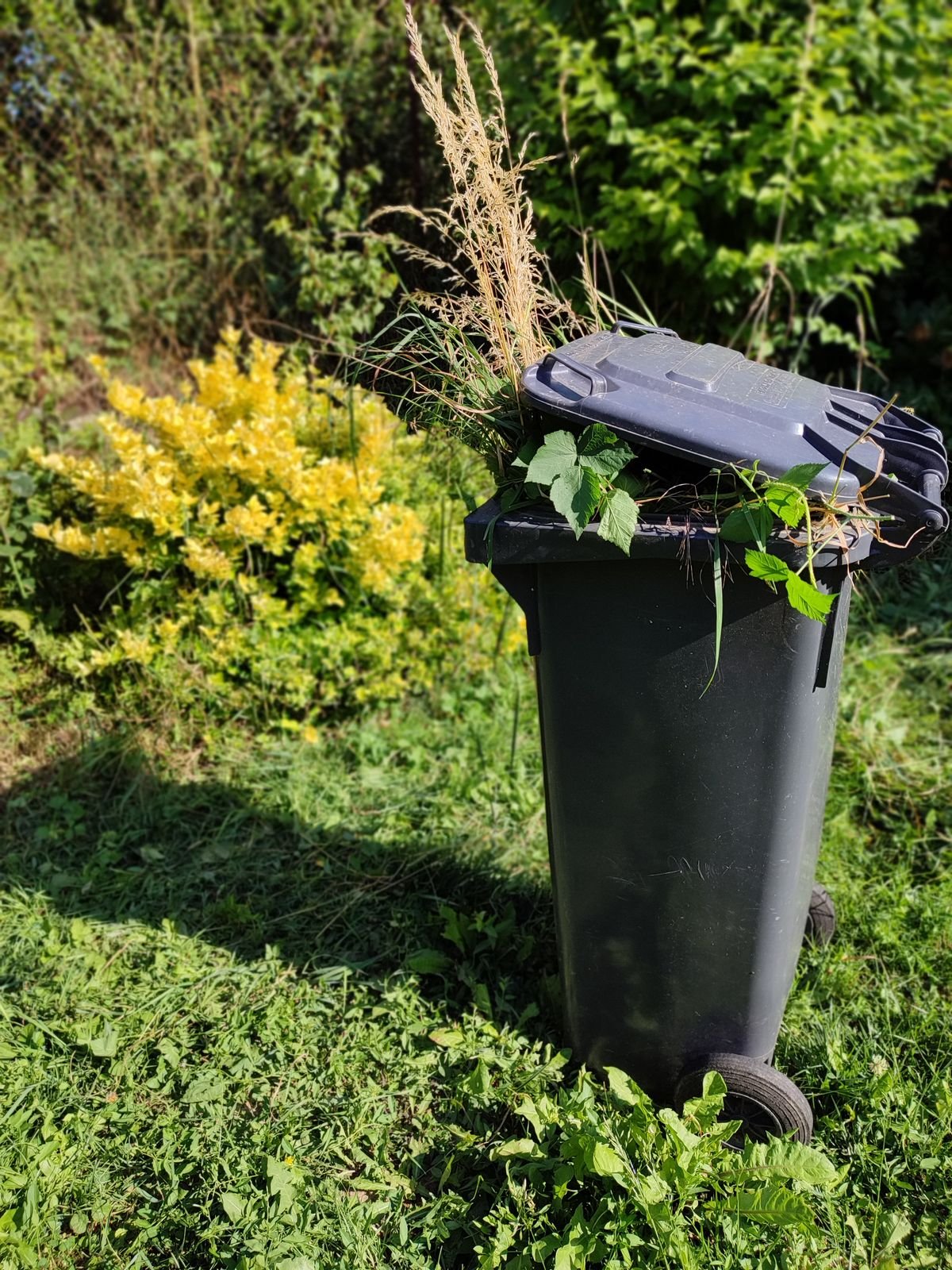 Green waste bin filled with leaves and branches for garden waste removal in Dubai